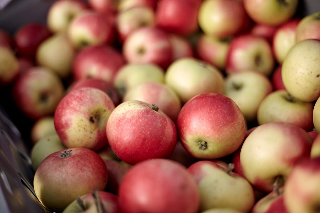 Svenska äpplen lokalodlade i Västsverige